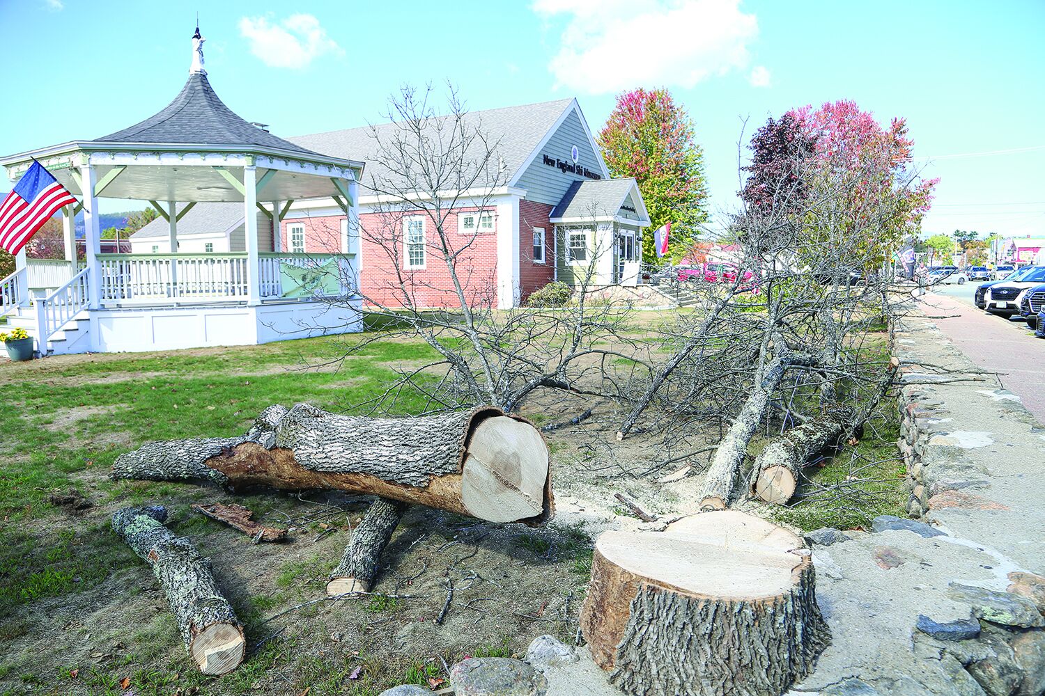 Ash trees cut in front of community center, ski museum